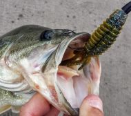 Big Craw